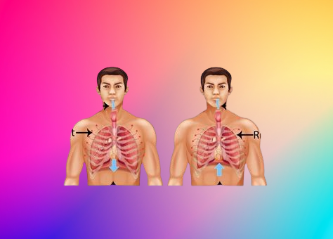 5simple Breathing Exercises to Calm Anxiety in Your Daily Life 4 5 Simple Breathing Exercises to Calm Anxiety in Your Daily Life