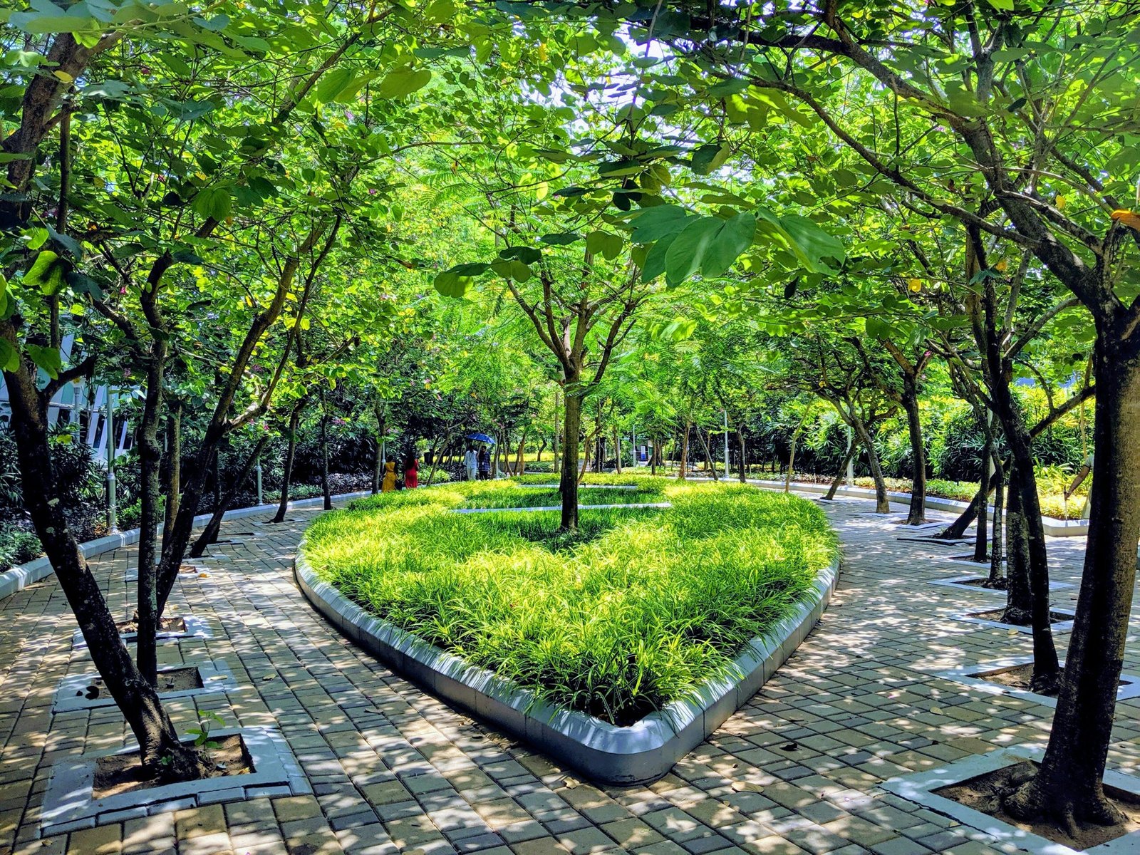 The Benefits of Green Campuses Improving Student Health and Well-being 3 green-leafed trees and bushes during daytime