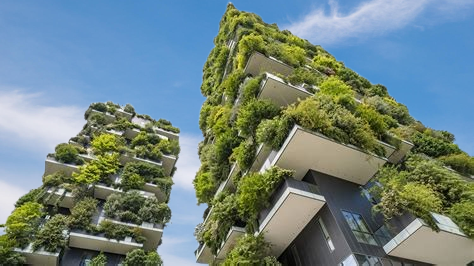 Building a Green Campus: Steps for Creating Sustainable Educational Environments 6 Developing a Sustainability Curriculum