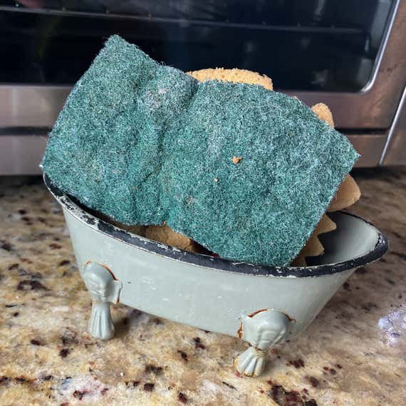 ASK WC GROSS SPONGES 2048px 4268