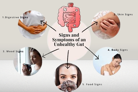 How does gut health affect immunity and mood? 2 gut health