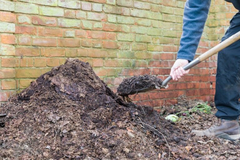 composting 2048px 1216859481