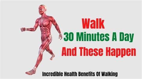 Just 30 Minutes of Walking a Day Could Change Your Life 5 proxy image 6